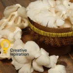 Budidaya Jamur Tiram