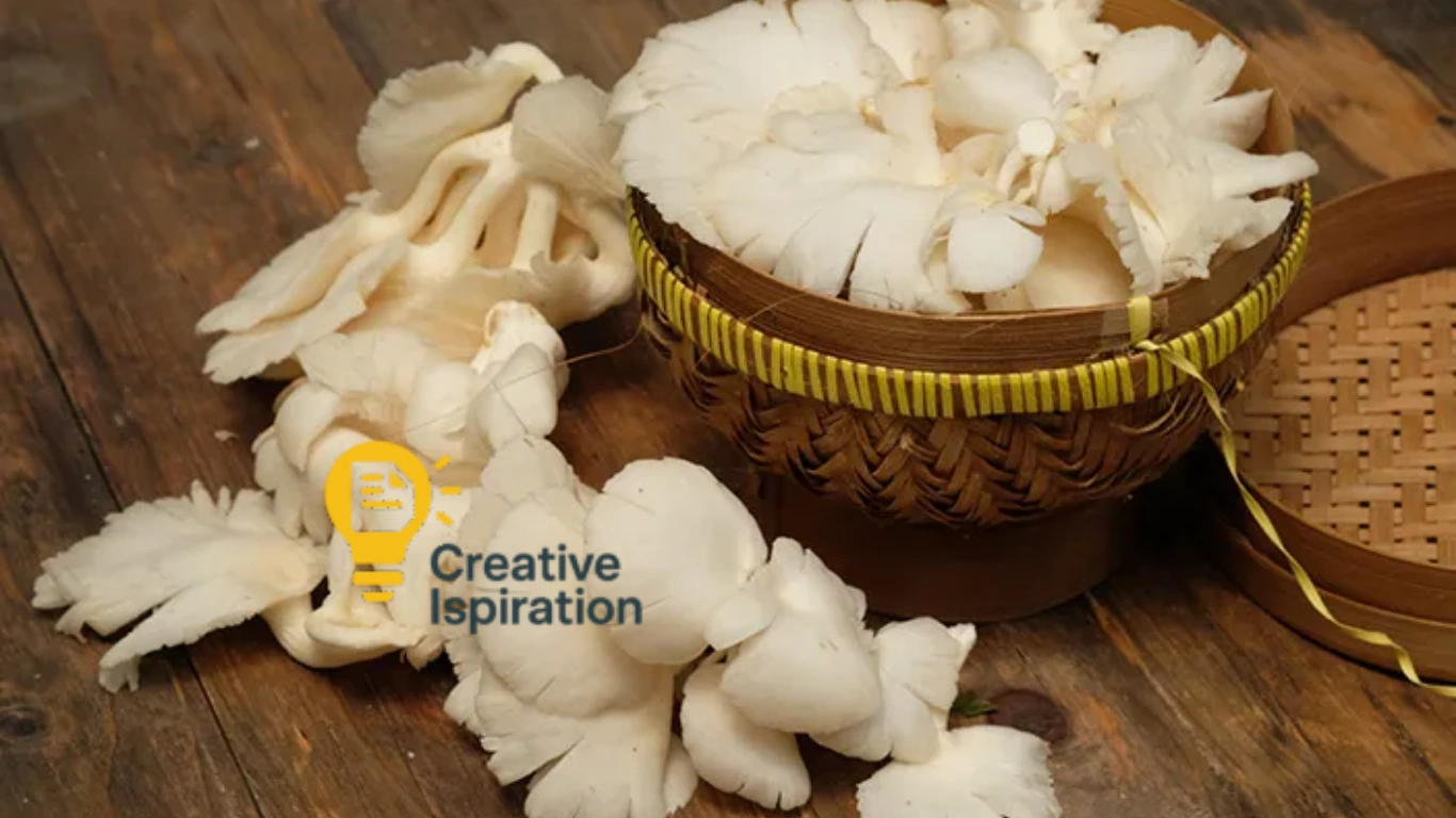 Budidaya Jamur Tiram